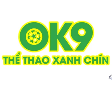 OK9 – Điều gì khiến tân binh thị trường Việt bùng nổ trong năm nay? 11 Giới thiệu nhà cái OK9