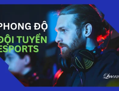 phong-do-doi-tuyen-esports