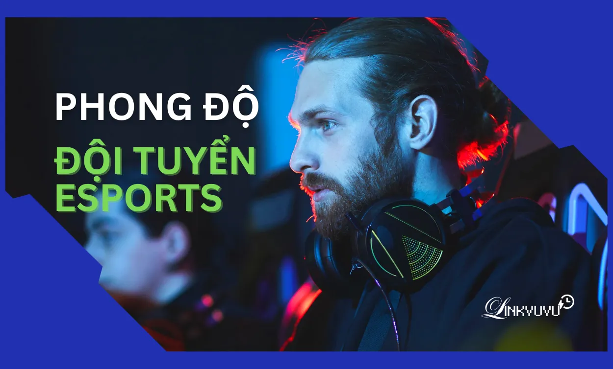phong-do-doi-tuyen-esports