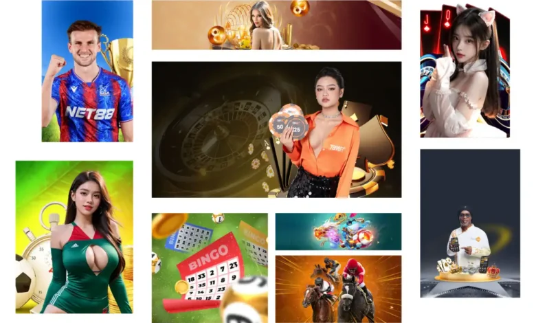 Nhà cái nhãn trắng (White Label) là gì? Tìm hiểu mô hình cá cược hiện đại 11 Nhà cái nhãn trắng (White Label) là gì